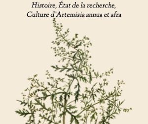 Artemisia De la malaria au coronavirus